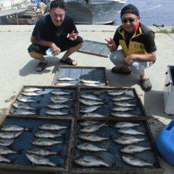 大進丸(愛知) 釣果
