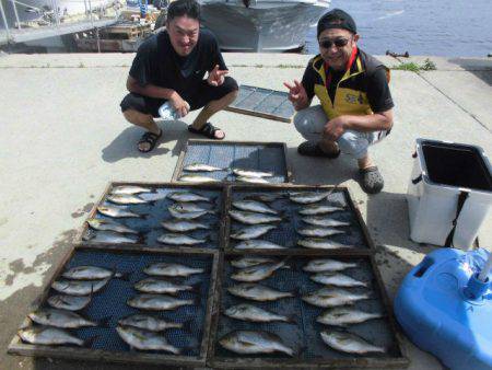 大進丸(愛知) 釣果