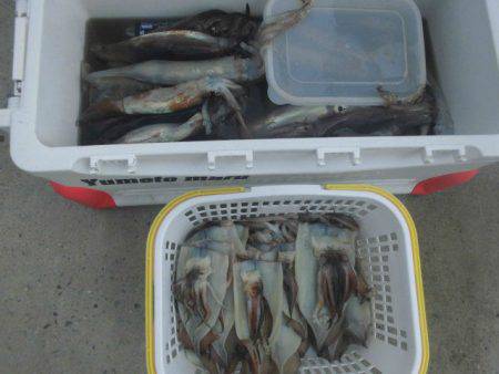 大進丸(愛知) 釣果