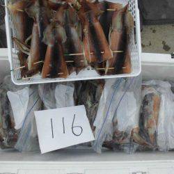 大進丸(愛知) 釣果