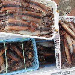 大進丸(愛知) 釣果