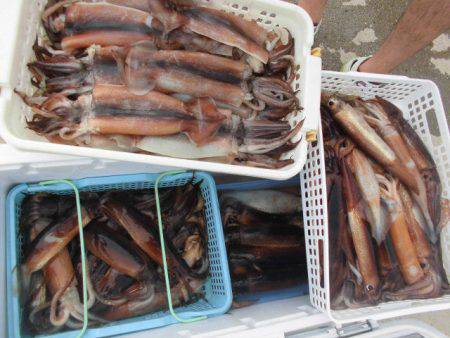 大進丸(愛知) 釣果