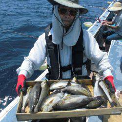 大進丸（愛知） 釣果