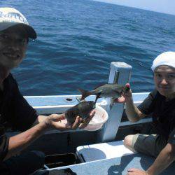 大進丸（愛知） 釣果