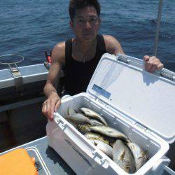 大進丸（愛知） 釣果