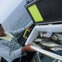 大進丸（愛知） 釣果