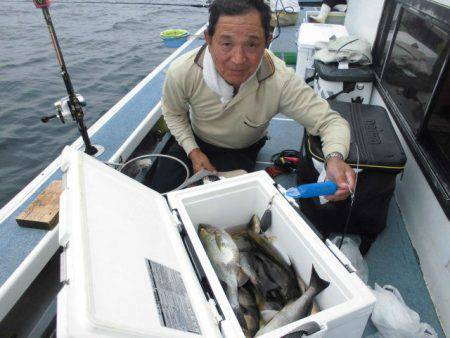 大進丸（愛知） 釣果