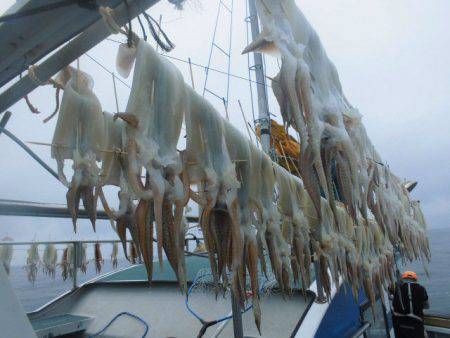 大進丸（愛知） 釣果