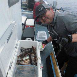 大進丸（愛知） 釣果