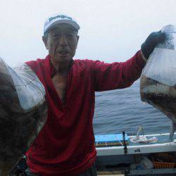 大進丸（愛知） 釣果