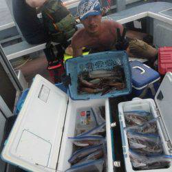 大進丸（愛知） 釣果