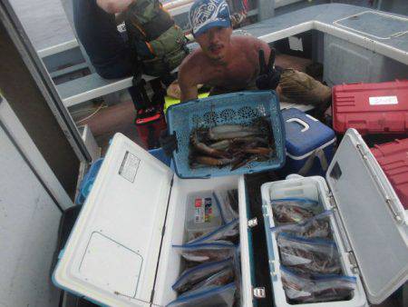 大進丸（愛知） 釣果