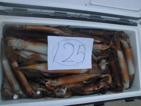 大進丸（愛知） 釣果