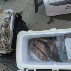 大進丸（愛知） 釣果