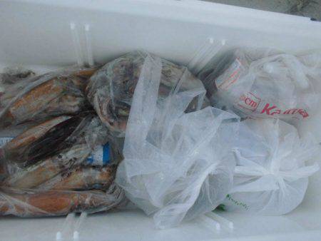 大進丸（愛知） 釣果