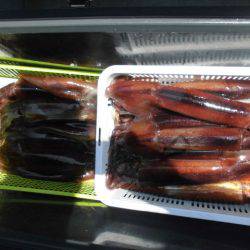 大進丸(愛知) 釣果