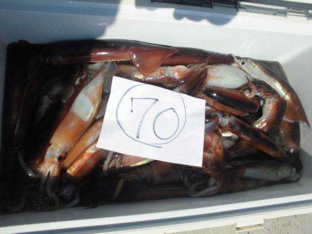 大進丸(愛知) 釣果