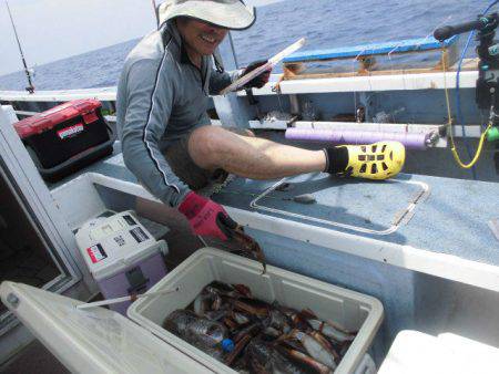 大進丸(愛知) 釣果