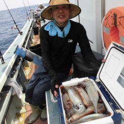 大進丸(愛知) 釣果