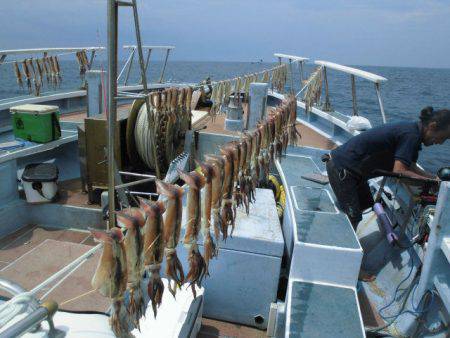 大進丸(愛知) 釣果