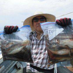 大進丸(愛知) 釣果