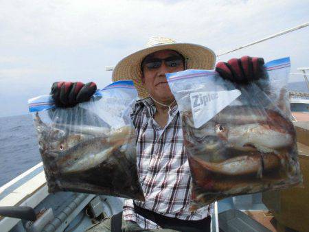 大進丸(愛知) 釣果