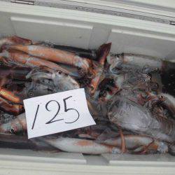 大進丸(愛知) 釣果