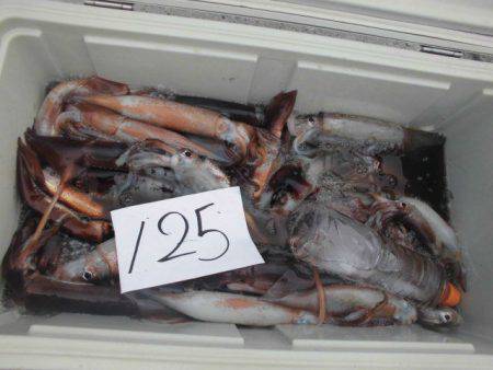 大進丸(愛知) 釣果