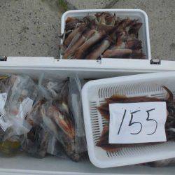 大進丸(愛知) 釣果