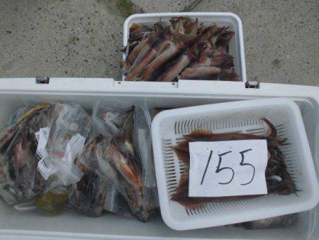 大進丸(愛知) 釣果