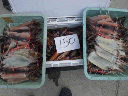 大進丸(愛知) 釣果