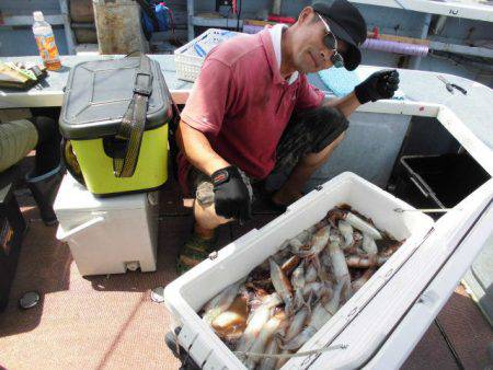 大進丸(愛知) 釣果