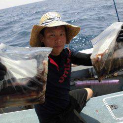 大進丸(愛知) 釣果