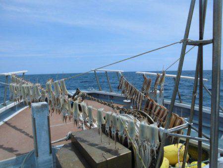 大進丸(愛知) 釣果