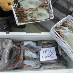 大進丸(愛知) 釣果