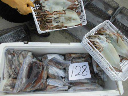 大進丸(愛知) 釣果