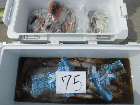 大進丸(愛知) 釣果