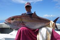 群星・むるぶし 釣果