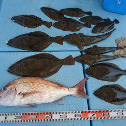 十八宝洋丸 釣果