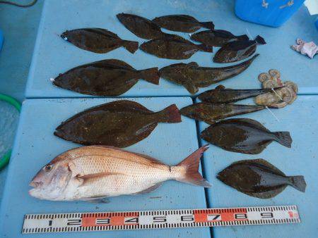 十八宝洋丸 釣果