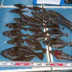 十八宝洋丸 釣果