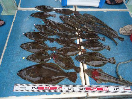 十八宝洋丸 釣果