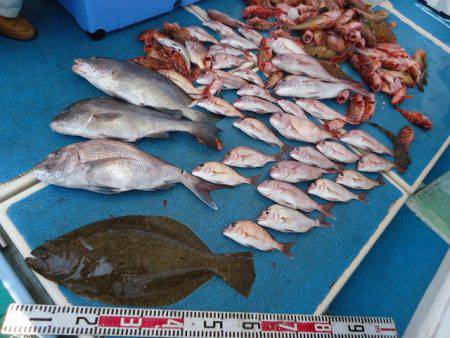 十八宝洋丸 釣果