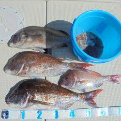 ＨＡＲＵＫＡ丸　はるかまる 釣果