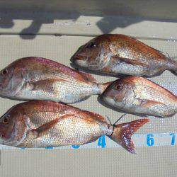 ＨＡＲＵＫＡ丸　はるかまる 釣果