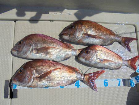 ＨＡＲＵＫＡ丸　はるかまる 釣果