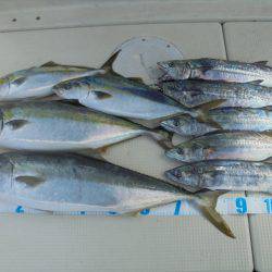 ＨＡＲＵＫＡ丸　はるかまる 釣果