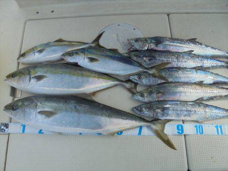 ＨＡＲＵＫＡ丸　はるかまる 釣果