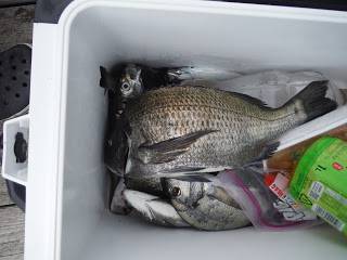 バラモン1号 釣果