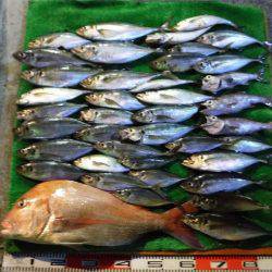 三吉丸 釣果